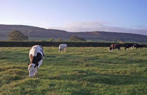 Barrowmead Cottage - E2377 - Foto 7