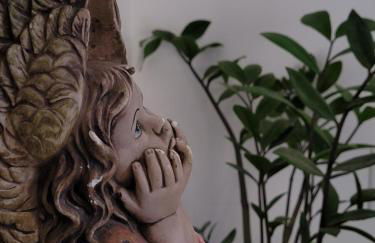 Casa Bastos - Photo 7