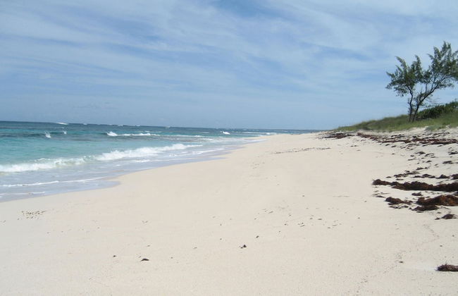 Buttonwood Reserve 1B - Foto 39