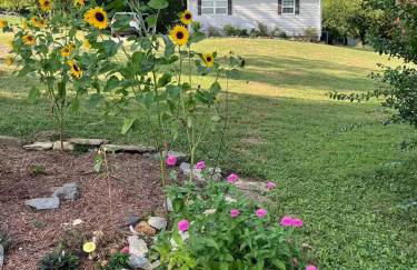 Lakeside Serenity Your Perfect Getaway Gallatin - Photo 9