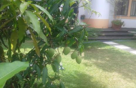 Vivenda Cinco Reis - Photo 20