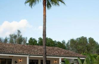 Finca Can Nadal - Foto 47