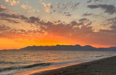 Elena House - Photo 22