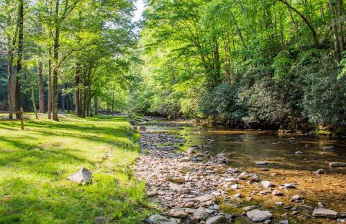 Star View Cabin - Powder Horn Mountain - Foto 57