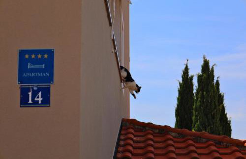 Apartment Danijela - Photo 22