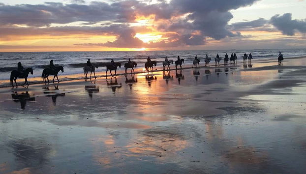 Doñana's unspoilt beaches at sunset