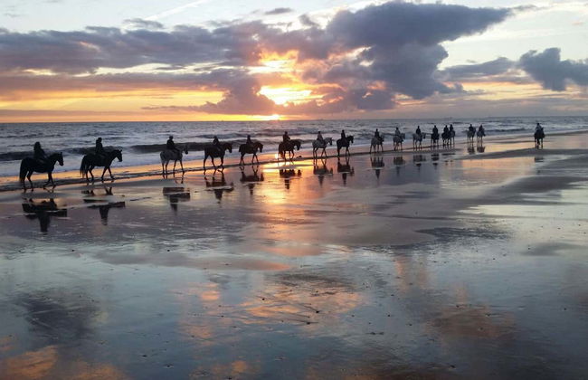 Doñana National Park Sunset Horse Ride - Photo 3