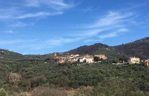 Agriturismo La Casina nel Vigneto - Foto 30