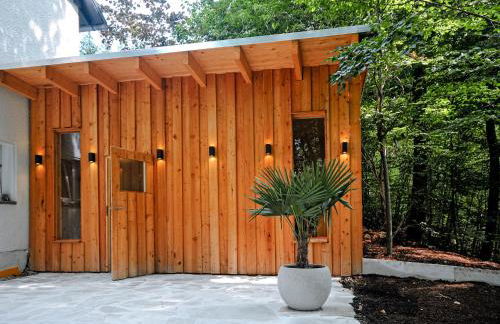 Haus Orbis Noster im Harz - Whirlpool und Sauna - direkt am Wald - Foto 34