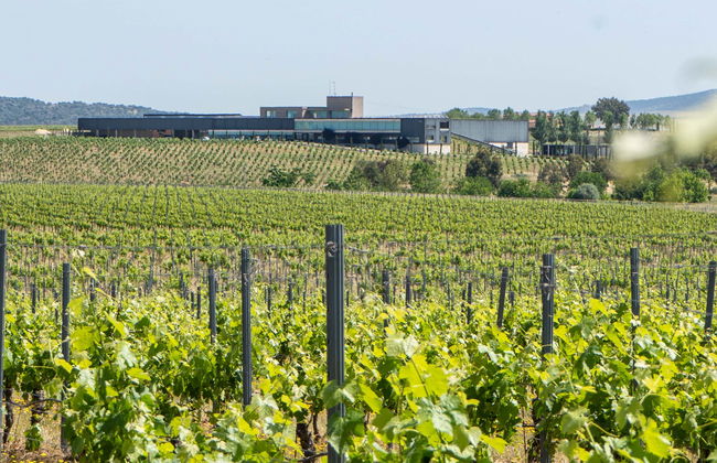 Visita a las bodegas Habla - Foto 6