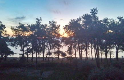 Nisteri Seaside - Photo 42