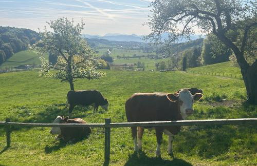 Traumpanorama im Chiemgau zwischen Chiemsee und Salzburg - 74 qm - Photo 19