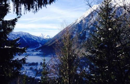 Large peaceful chalet for mountain adventures! Perfect for Flégère and Grand Montet skiing - Foto 10