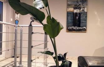 La palmeraie de brévy - Foto 22