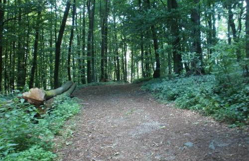 Ferienwohnung Irmgard und Ferienwohnung Gerlinde - Foto 32