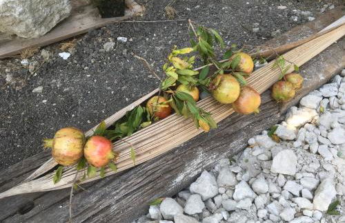 Agriturismo Adenzia - Foto 32