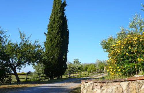 Podere Sionne - Foto 47