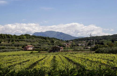 Agriturismo La Rocca - Foto 74