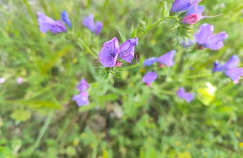 Andalusian Pool Parties Music & Magic - Photo 12