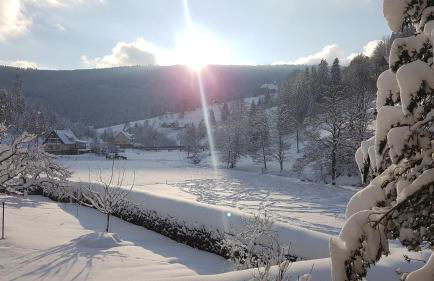 Haus Wiesengrund - Photo 13