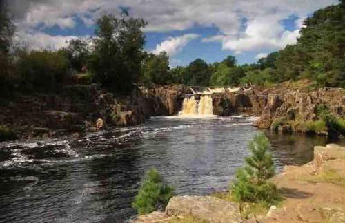 The Little House - Photo 13