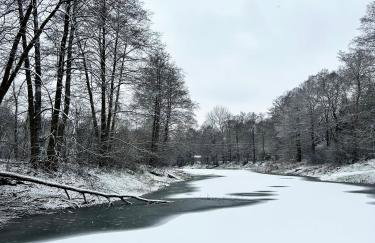 Masuria Warsaw Family - dom na wyłączność - w lesie i przy rzece - 15 min od Warszawy - idealny dla rodzin z dziećmi - Foto 61