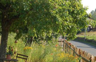 Ferienwohnung Katzstein - Foto 11