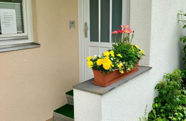 Wohnung #6 mit Balkon in ruhiger aber zentrale Lage - Stadtbus vor der Tür! - Foto 32