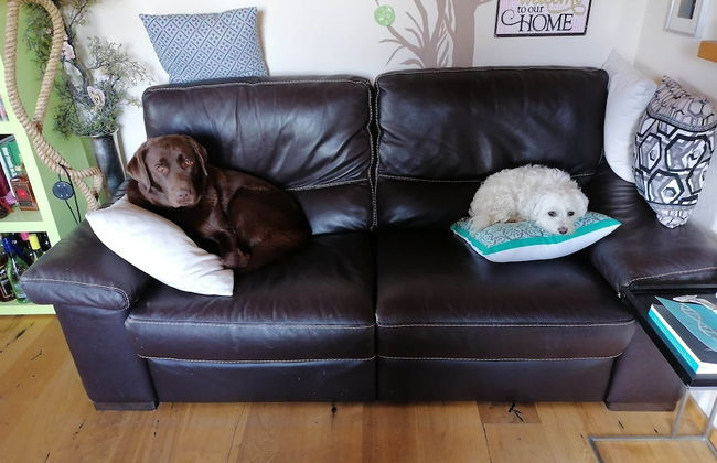 Apartment Walchen Near Ski Slopes - Foto 12