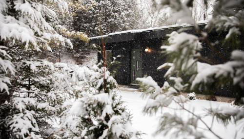 Cozy Luxury Cabin w Hot Tub, Fire Pit, King Bed - Foto 3