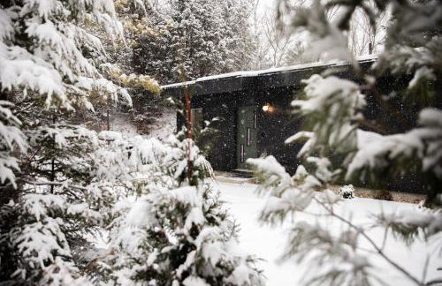 Cozy Luxury Cabin w Hot Tub, Fire Pit, King Bed - Foto 3