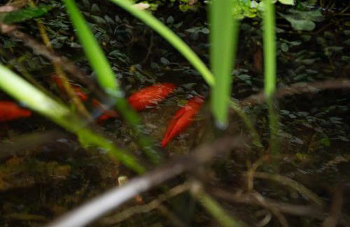 La Petite Fleur-Charming Park Circle Private Studio - Foto 32