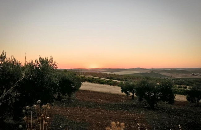 Cozy Villa in the Middle of the Achterhoek - Foto 24