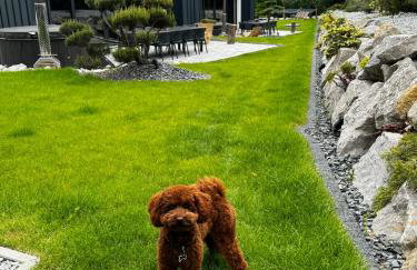 Babiogórskie Stodoły - Foto 58