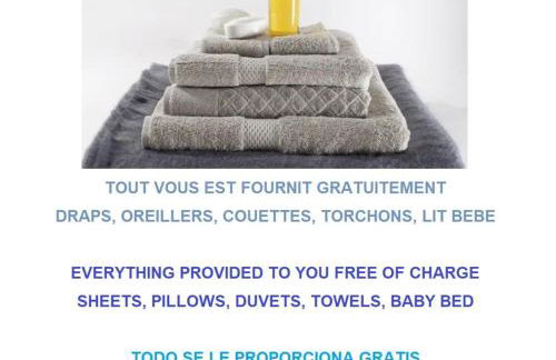 Au Canal du Midi - Appartements au cœur de la ville - Foto 21