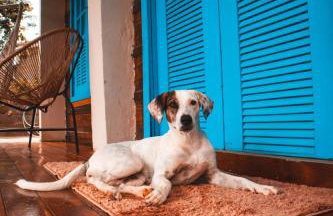 Chalé Espetacular I Barra de Guaratiba - Foto 26