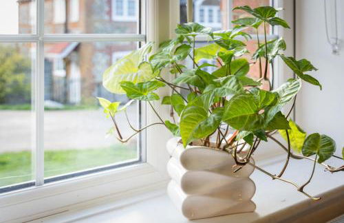 Wallace Hill Cottage - Garsington Studios - Pass the Keys - Foto 20