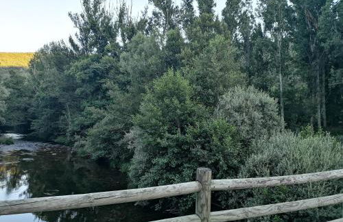 La nueva Escuela - Foto 27