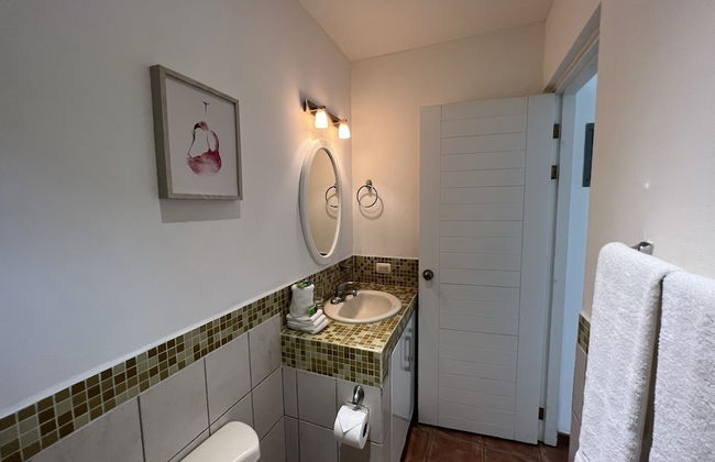 Tropical Gardens - Foto 72