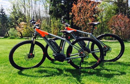 View & Garden Villa Schauenstein - Foto 28