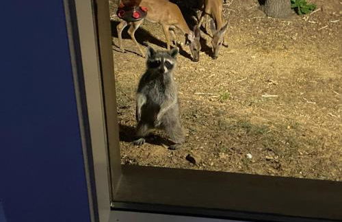 Lakeside Retreat on 10 Secluded Acres - Foto 50