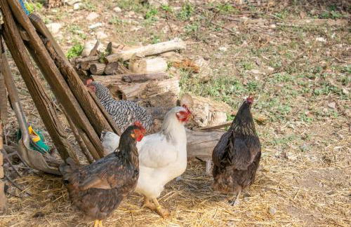 Espacioso apartamento en el Pirineo Navarro - Foto 53