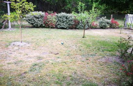 La canopée - Foto 17