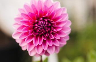 Antresola13 - Foto 27