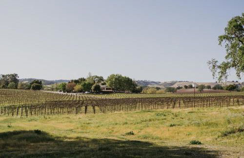 The Hive House at Castoro Cellars - Foto 39
