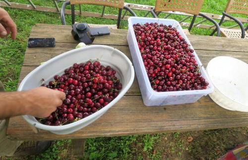 Agriturismo Fattoria Walden - Foto 50