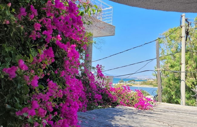 Begonvil apart otel - Photo 9