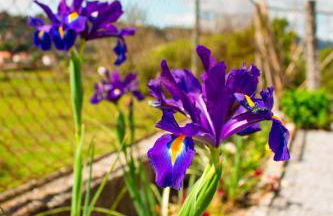 Casa das Letras - Turismo rural - Foto 47