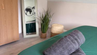 Le Col'Vert - Appartement 50m2 - Colmar Centre - Foto 2, towels