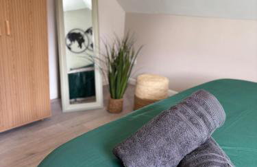 Le Col'Vert - Appartement 50m2 - Colmar Centre - Foto 2